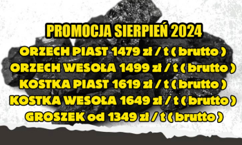 Polski Węgiel Hurt / Promocja Sierpień 2024