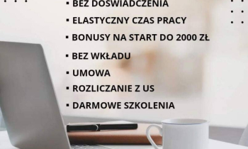 Praca stała lub dodatkowa zdalna, w domu, przez internet