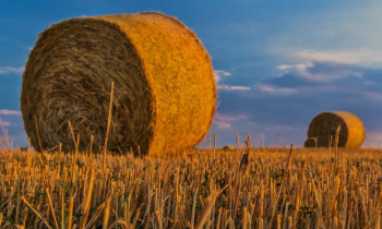 Pożyczka pozabankowa pod zastaw ziemi rolnej